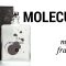 MOLECULE 01 – MY SINGLE FAVORITE FRAGRANCE!!!!!!!!