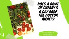 [ID: 0-UZvvHtUTw] Youtube Automatic