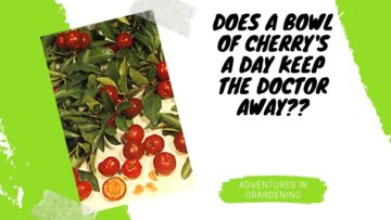 [ID: 0-UZvvHtUTw] Youtube Automatic