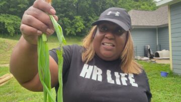 [ID: 003vNac_Zlw] Youtube Automatic