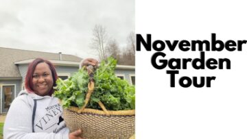 [ID: 00IyIWtterY] Youtube Automatic