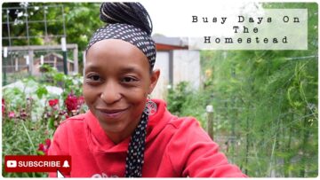 [ID: 00J8Iluu5uw] Youtube Automatic