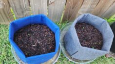 [ID: 0bvJPGGnxUU] Youtube Automatic