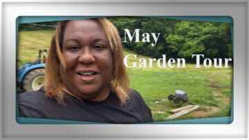 [ID: 0c_1E024_L8] Youtube Automatic