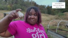 [ID: 0CkLSIh4spY] Youtube Automatic