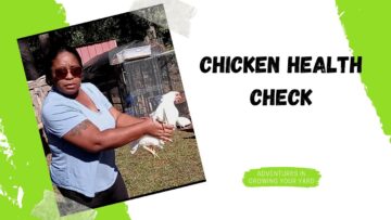 [ID: 0I4jxPL099w] Youtube Automatic