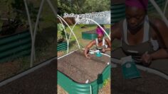 [ID: 0itc_V5Gmf4] Youtube Automatic