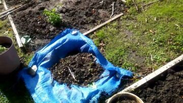 [ID: 0yDBzYbIV9U] Youtube Automatic