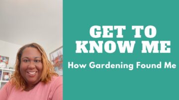 [ID: 11Q9H2AONwM] Youtube Automatic