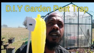 [ID: 14PuLI89skI] Youtube Automatic