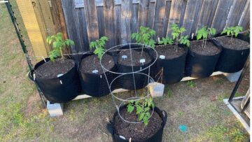 [ID: 1hVqXsQzg3A] Youtube Automatic