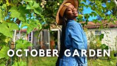 [ID: 1_LUPDaS-fw] Youtube Automatic