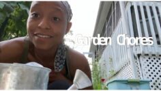 [ID: 1Ny1dhB7FRI] Youtube Automatic