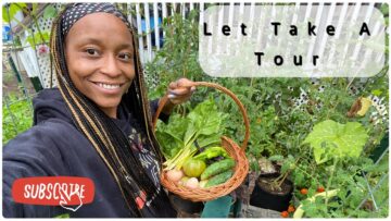 [ID: 1pCuD2aY6TY] Youtube Automatic