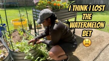 [ID: 1sJakWDi4Eo] Youtube Automatic