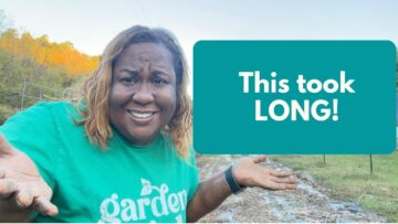 [ID: 1U7xFaqeyb0] Youtube Automatic