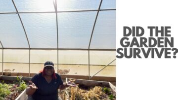 [ID: 1vJ7l9N_iz0] Youtube Automatic