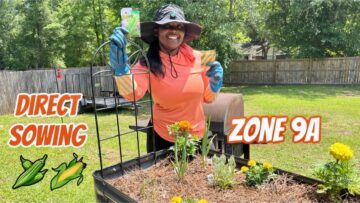 [ID: 20-NyaHsKLE] Youtube Automatic