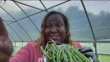 [ID: 20UoMNTbTk8] Youtube Automatic