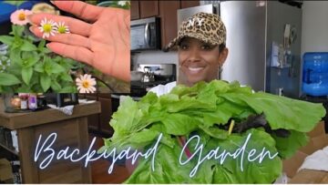 [ID: 2AXdCxyrMeE] Youtube Automatic