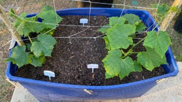 [ID: 2kzNTbMqpi0] Youtube Automatic