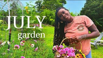 [ID: 2NrEiBGlYgw] Youtube Automatic