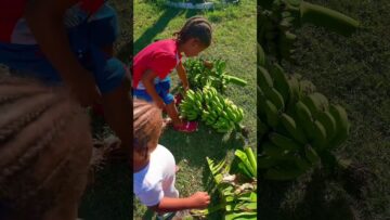 [ID: 2tu_R1vEhZk] Youtube Automatic