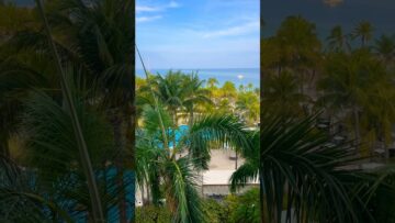 [ID: 2Z5gGEFRcrI] Youtube Automatic