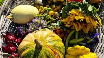 [ID: 308GF9Rp-QU] Youtube Automatic