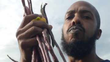 [ID: 31lEXX82FjU] Youtube Automatic