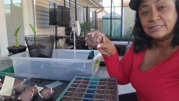 [ID: 3eAQ_j1mpeA] Youtube Automatic