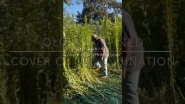 [ID: -3JeMAsYHww] Youtube Automatic