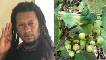 [ID: 3OBR4K3CKNo] Youtube Automatic