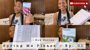 [ID: 3qupJZ6EKTk] Youtube Automatic