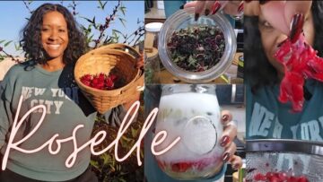 [ID: 3r1Oc4DX7nc] Youtube Automatic