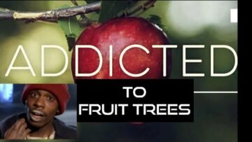 [ID: 3Sc2qgWhwls] Youtube Automatic