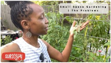 [ID: 3vsGNLwJKc0] Youtube Automatic