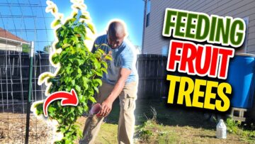 [ID: 4-w0kHHXddE] Youtube Automatic