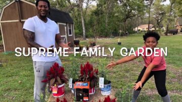 [ID: 47ypWJyMllY] Youtube Automatic