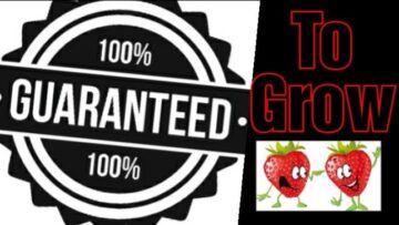 [ID: 4q1YNqWi2Q4] Youtube Automatic