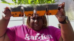 [ID: 4qfHhI5nqLU] Youtube Automatic