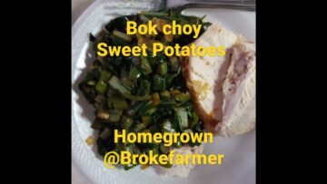 [ID: 4ryPu613NOI] Youtube Automatic