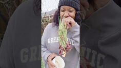 [ID: 4SOcRoGPLe8] Youtube Automatic