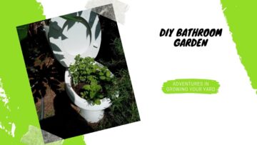 [ID: 4ttPpwVb-Bs] Youtube Automatic