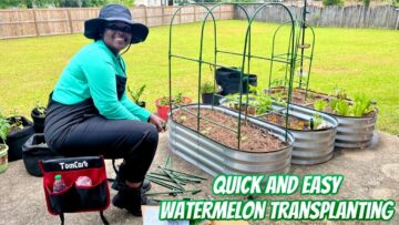 [ID: 4uBbJLJvEJU] Youtube Automatic