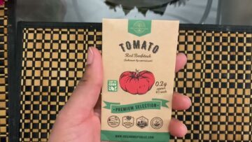 [ID: 579zFxUfLDM] Youtube Automatic