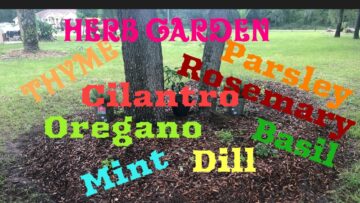 [ID: 57qr6-aEo6E] Youtube Automatic