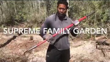 [ID: 59Sq_YUZ_pI] Youtube Automatic