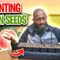 How to Start Watermelon Seeds?