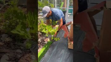 [ID: 5hg6vsQWDxM] Youtube Automatic